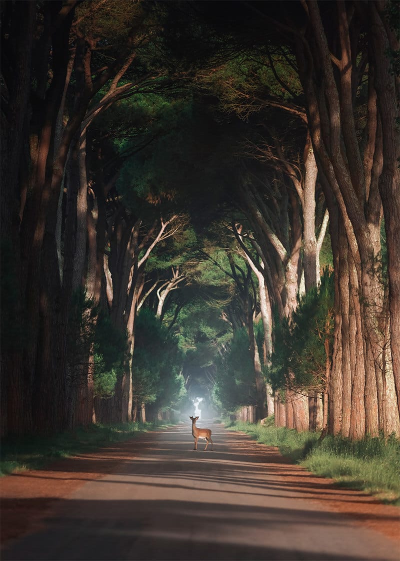 Italy